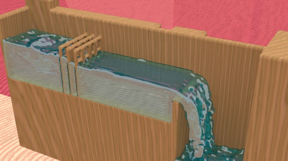 研究・開発